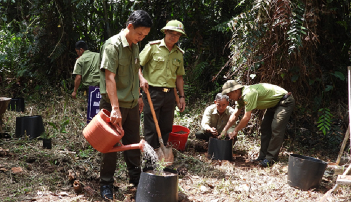 Trong cay Thuy tung bao ton loai sinh canh thong nuoc 2